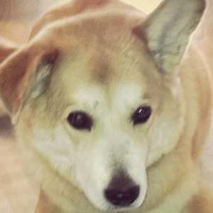 Meet your Posher, Carol